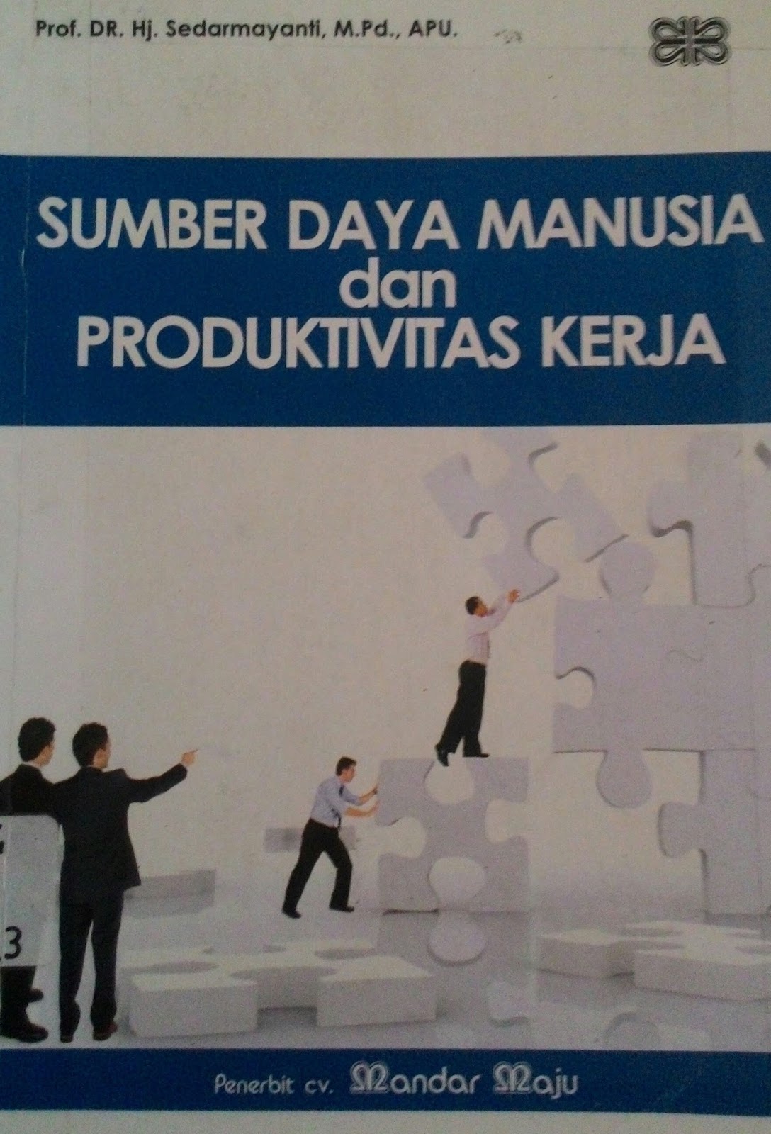 Sumber Daya Manusia Dan Produktivitas Kerja 2009
