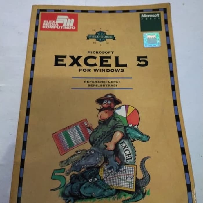 Microsoft excel 5 for windows
