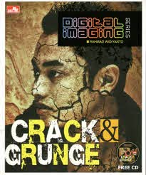 Digital imaging series : crack and grunge
