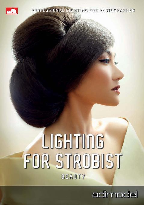 Professional lighting for photographer : lighting for strobist beauty