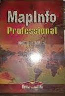 Mapinfo professional