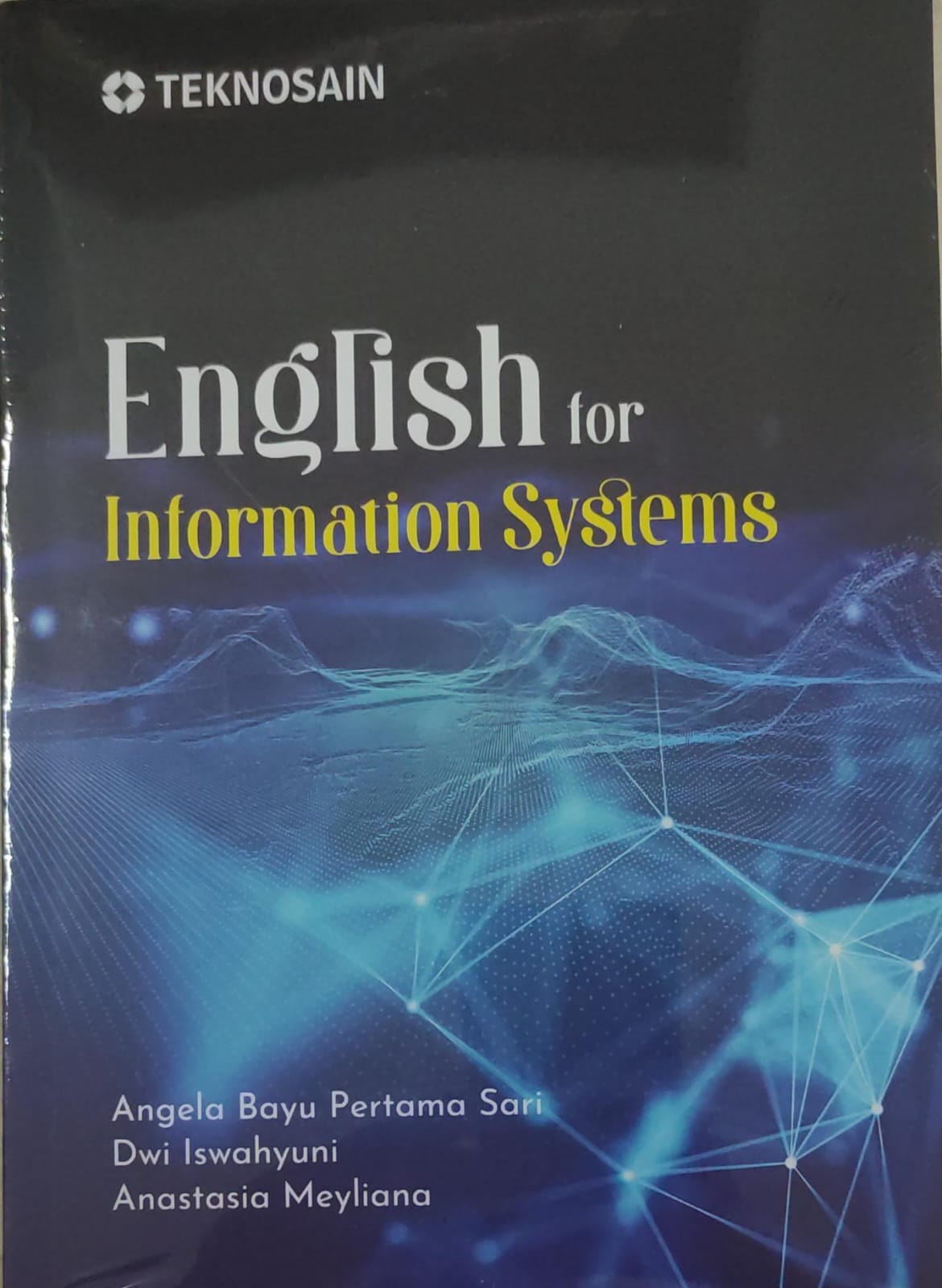 English for information systems