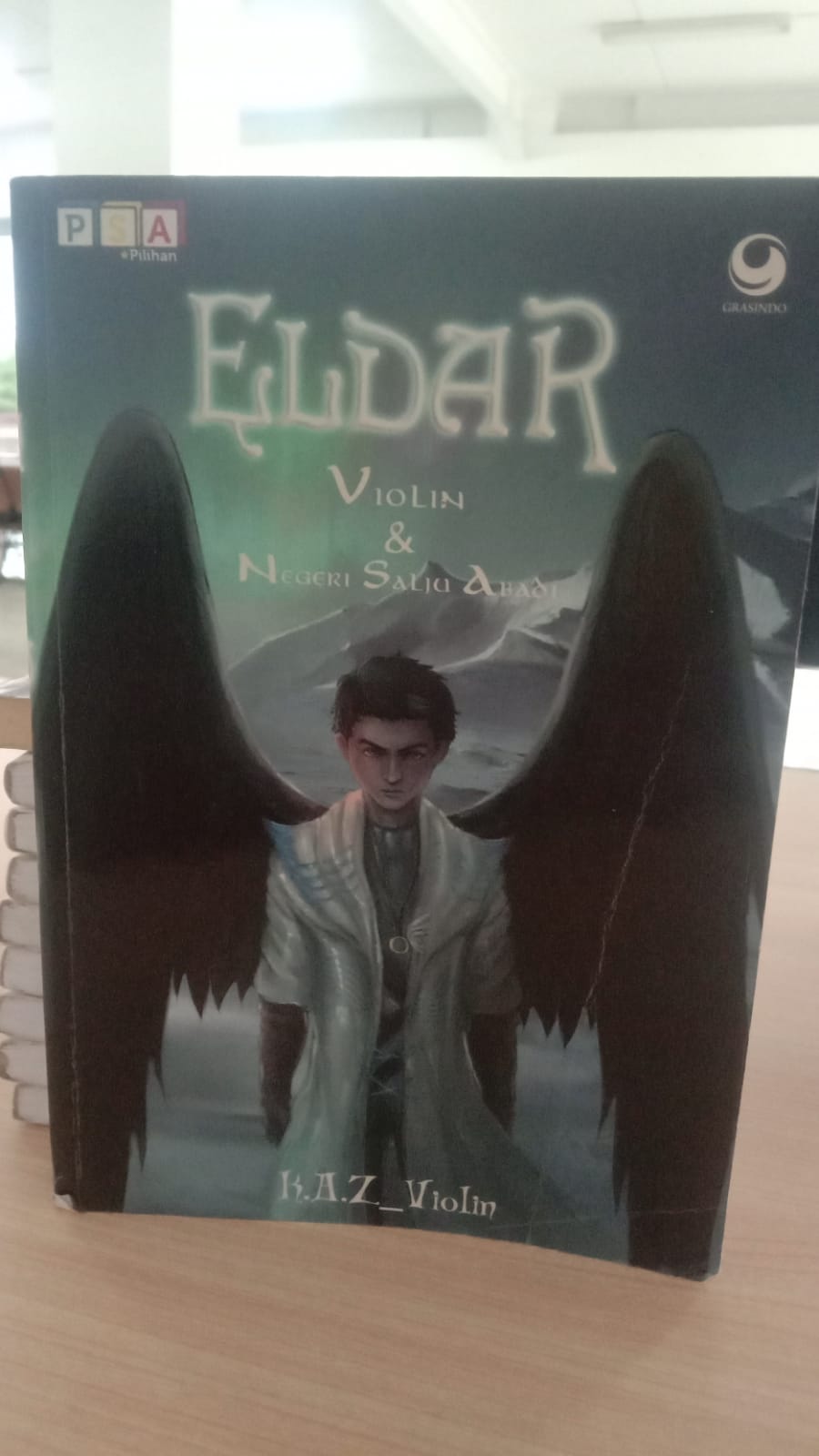 Eldar, violin dan negeri salju abadi
