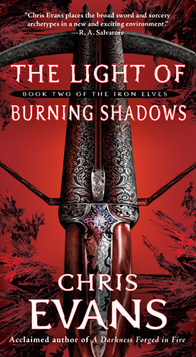 The light of burning shadows book two of the iron elves