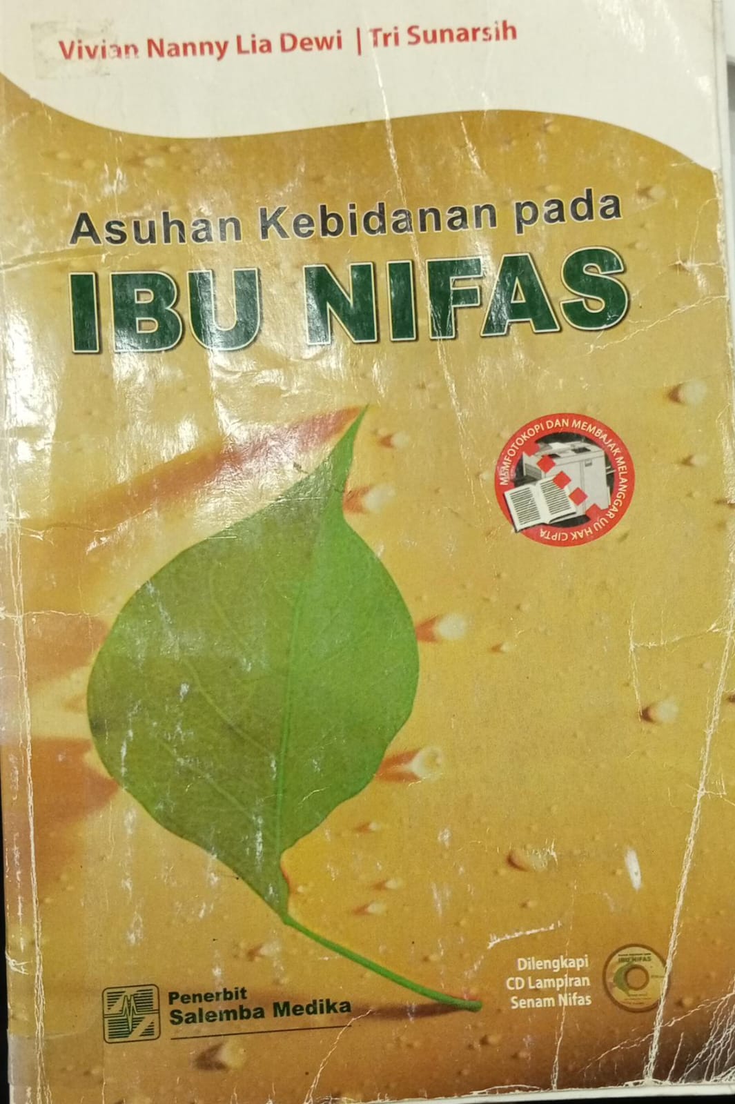 Asuhan Kebidanan pada Ibu Nifas