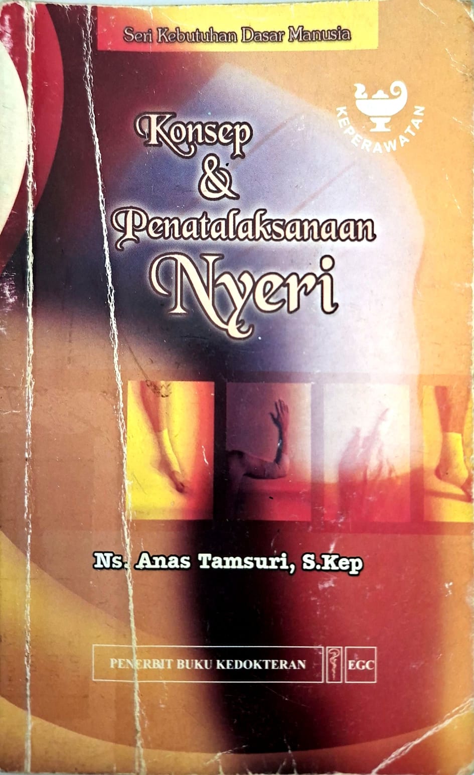 Konsep & penatalaksaan nyeri