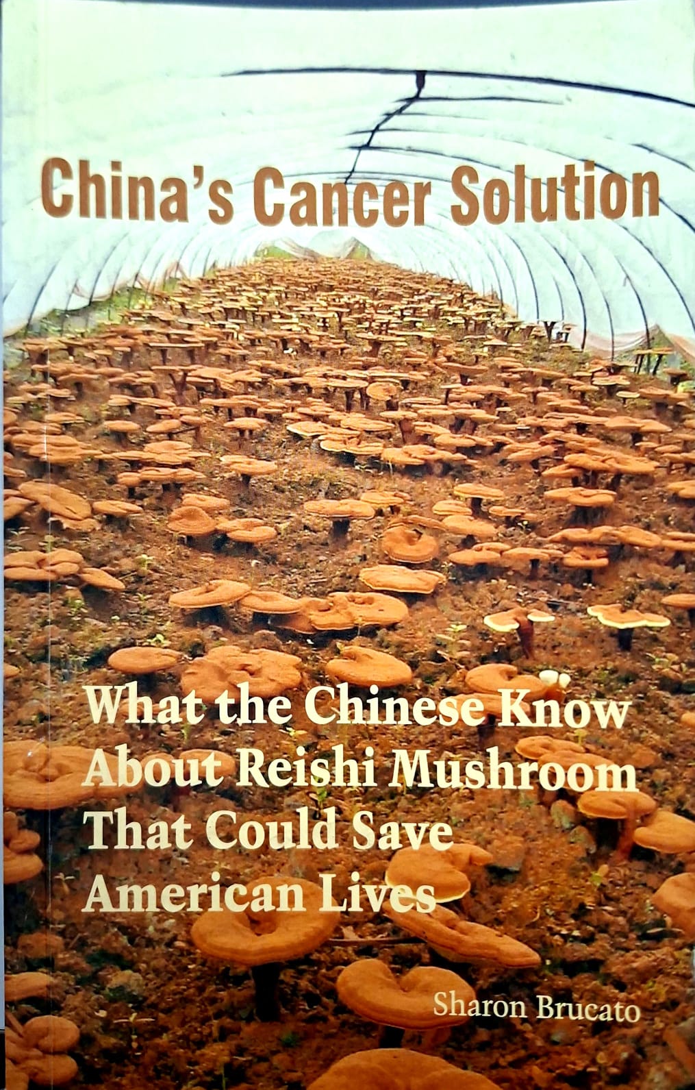 China’s cancer solution: what the Chinese know abour Reishi mushroom that could save American lives