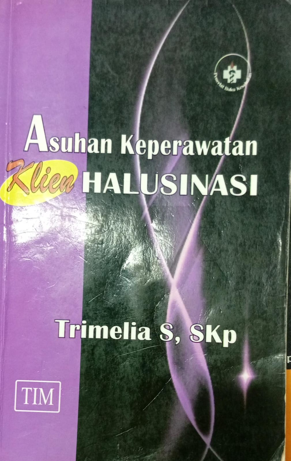 Asuhan Keperawatan Klien Halusinasi