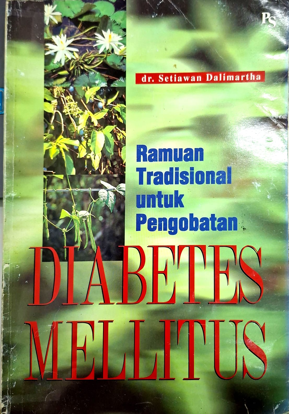 Ramuan Tradisional untuk pengobatan Diabetes Melitus