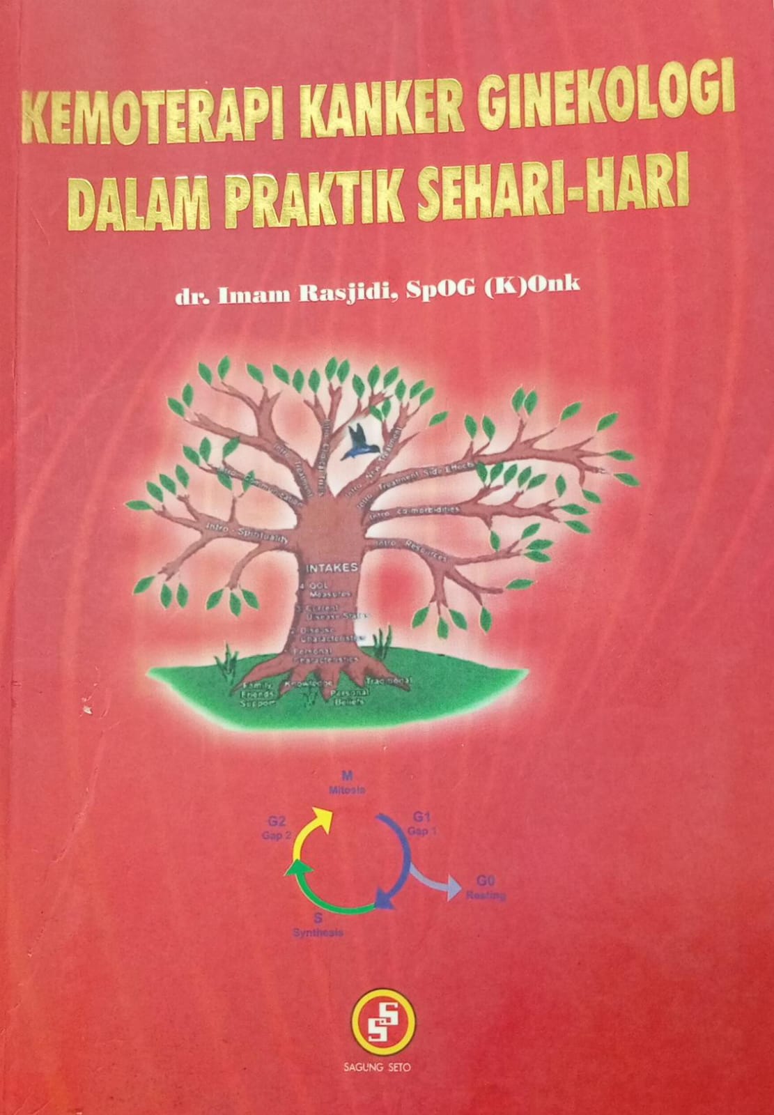 Kemoterapi Kanker Ginekologi dalam Praktik Sehari-hari