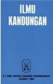 Ilmu kandungan