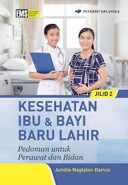 Kesehatan ibu dan bayi baru lahir : pedoman untuk perawat dan bidan
