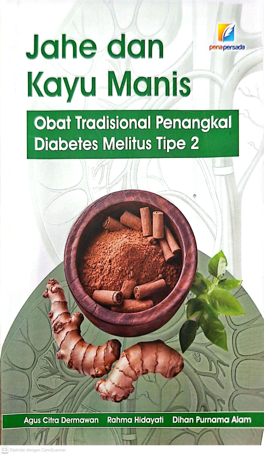 Jahe dan Kayu Manis obat tradisional penangkal DM tipe 2